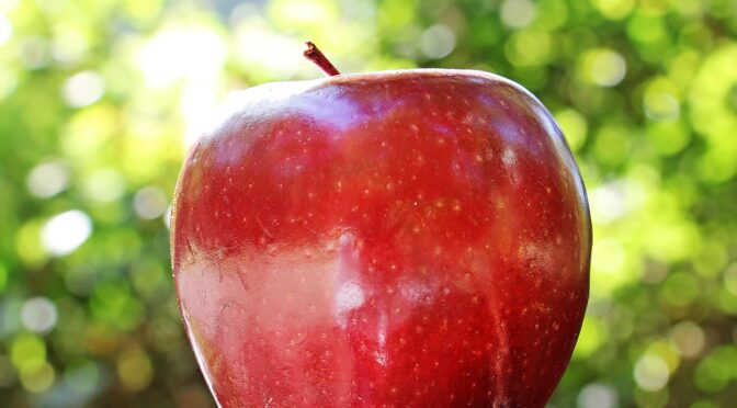 Top 6 Microsoft-365-Berater für Apple-Umgebungen in Kiel 2026